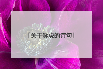 关于咏虎的诗句