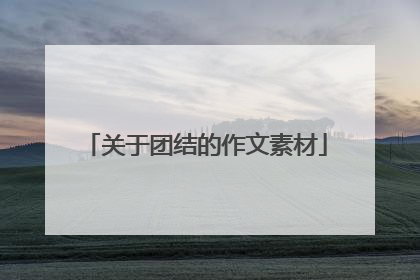 关于团结的作文素材