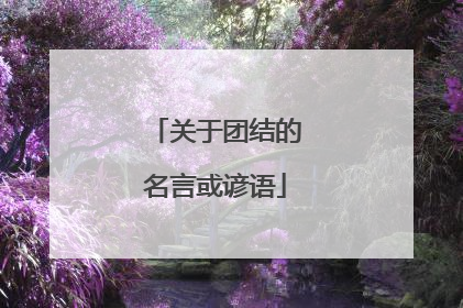 关于团结的名言或谚语