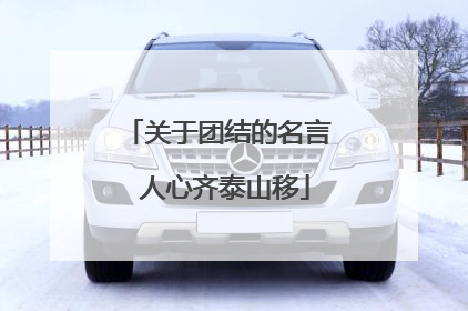 关于团结的名言 人心齐泰山移