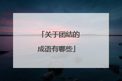 关于团结的成语有哪些