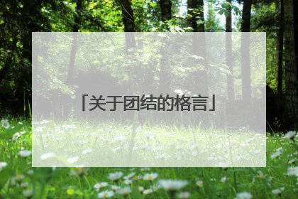 关于团结的格言