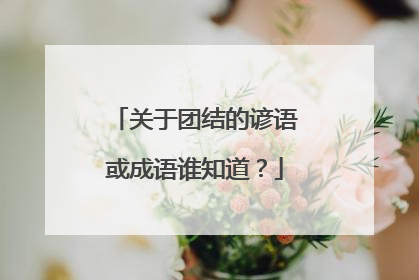 关于团结的谚语或成语谁知道？