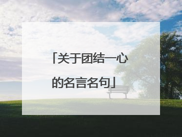 关于团结一心的名言名句