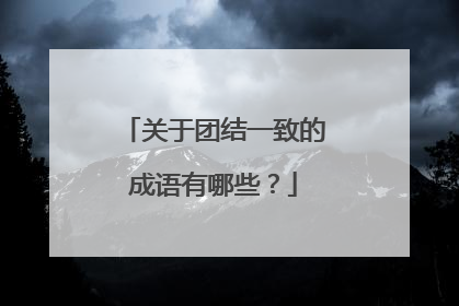 关于团结一致的成语有哪些？