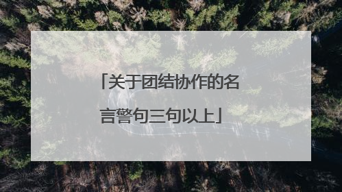 关于团结协作的名言警句三句以上
