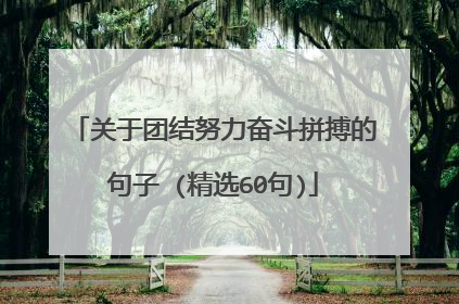 关于团结努力奋斗拼搏的句子 (精选60句)