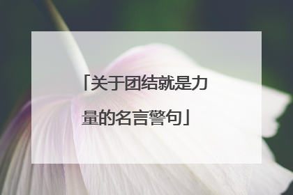 关于团结就是力量的名言警句