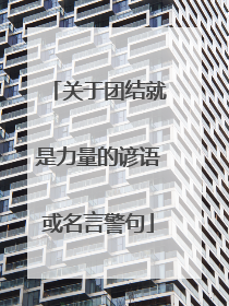 关于团结就是力量的谚语或名言警句