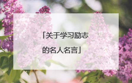 关于学习励志的名人名言