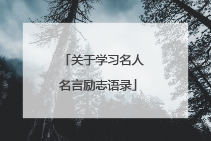 关于学习名人名言励志语录
