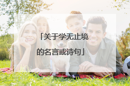 关于学无止境的名言或诗句