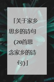 关于家乡思乡的诗句(20首思念家乡的诗句)