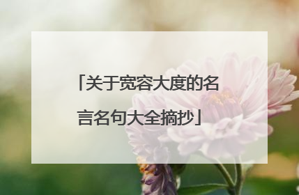 关于宽容大度的名言名句大全摘抄