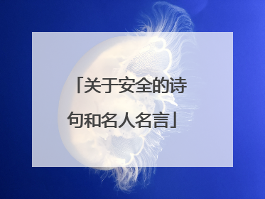 关于安全的诗句和名人名言