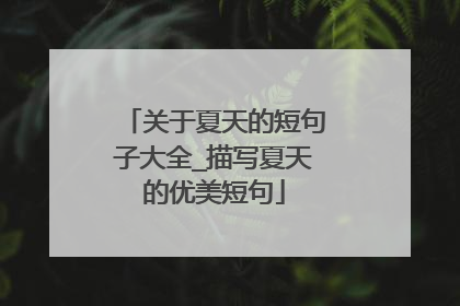 关于夏天的短句子大全_描写夏天的优美短句