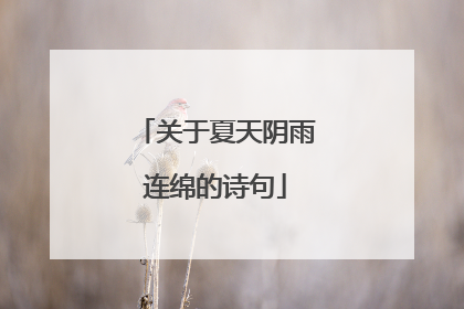 关于夏天阴雨连绵的诗句