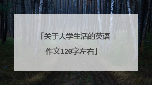 关于大学生活的英语作文120字左右