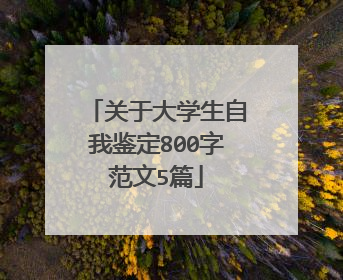 关于大学生自我鉴定800字范文5篇