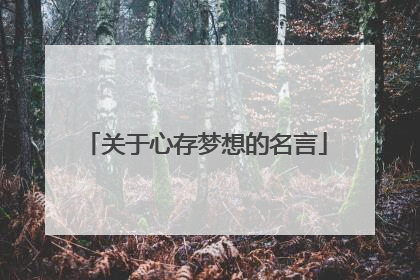 关于心存梦想的名言