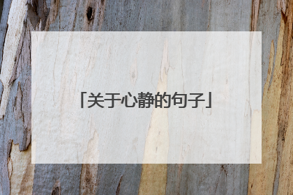 关于心静的句子