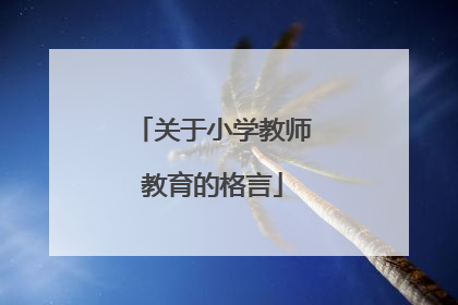 关于小学教师教育的格言