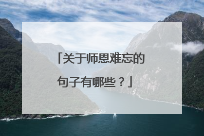 关于师恩难忘的句子有哪些？