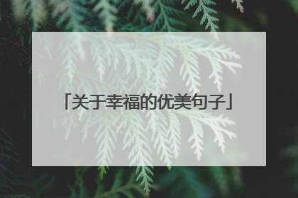 关于幸福的优美句子