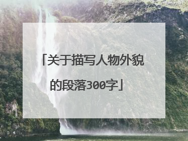 关于描写人物外貌的段落300字