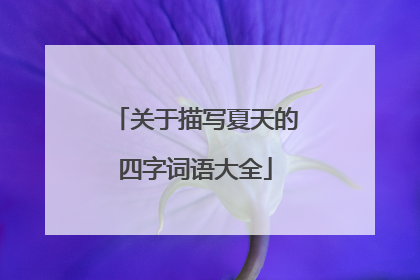 关于描写夏天的四字词语大全