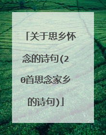 关于思乡怀念的诗句(20首思念家乡的诗句)