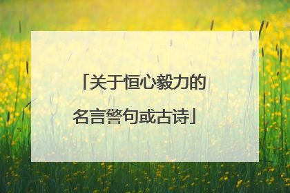 关于恒心毅力的名言警句或古诗
