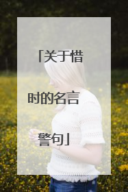 关于惜时的名言警句