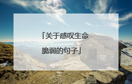 关于感叹生命脆弱的句子