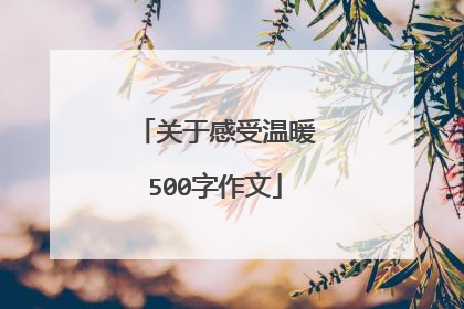 关于感受温暖500字作文