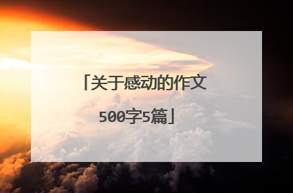 关于感动的作文500字5篇