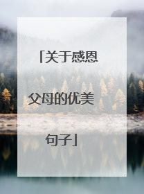 关于感恩父母的优美句子