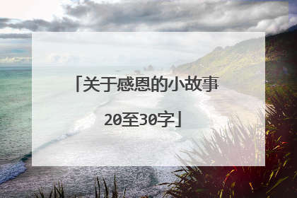 关于感恩的小故事 20至30字