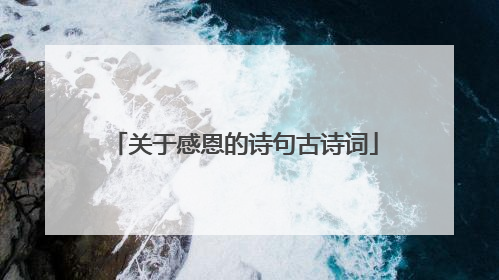 关于感恩的诗句古诗词