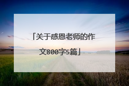 关于感恩老师的作文800字5篇