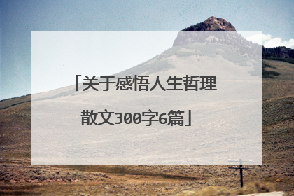 关于感悟人生哲理散文300字6篇