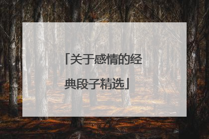 关于感情的经典段子精选