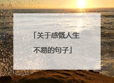 关于感慨人生不易的句子