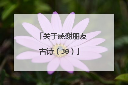 关于感谢朋友古诗（30）