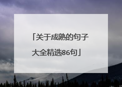 关于成熟的句子大全精选86句