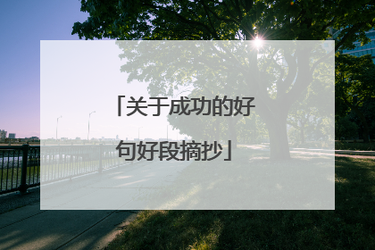 关于成功的好句好段摘抄