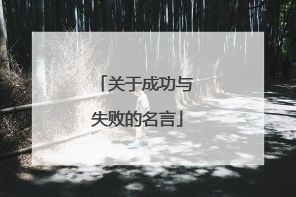 关于成功与失败的名言