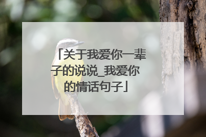 关于我爱你一辈子的说说_我爱你的情话句子