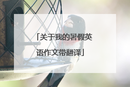 关于我的暑假英语作文带翻译