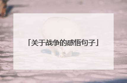 关于战争的感悟句子